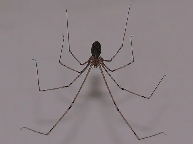 screenshot 20210911 103520