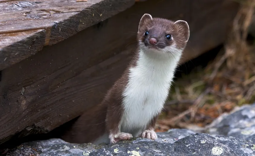 screenshot 20220208 163345