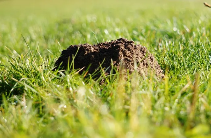 screenshot 20220215 132512