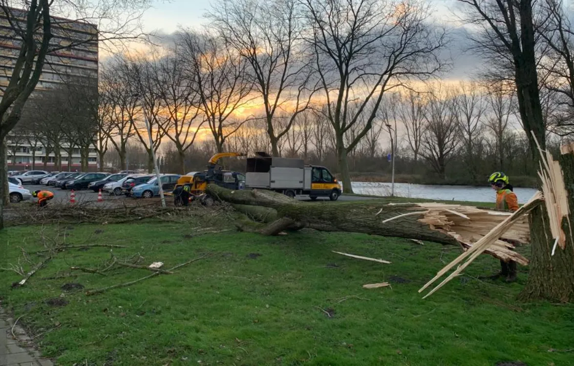 screenshot 20220221 155947