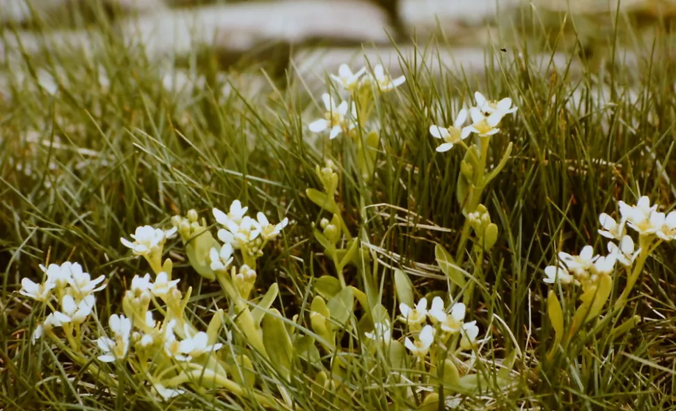 screenshot 20220710 110809