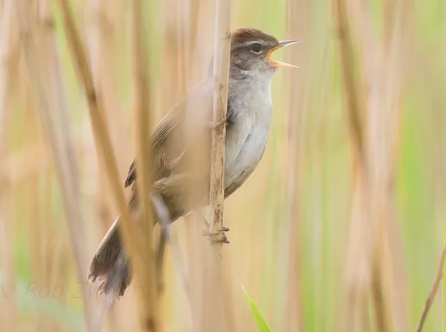 screenshot 20220725 144406