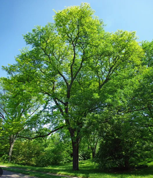 screenshot 20221110 121241