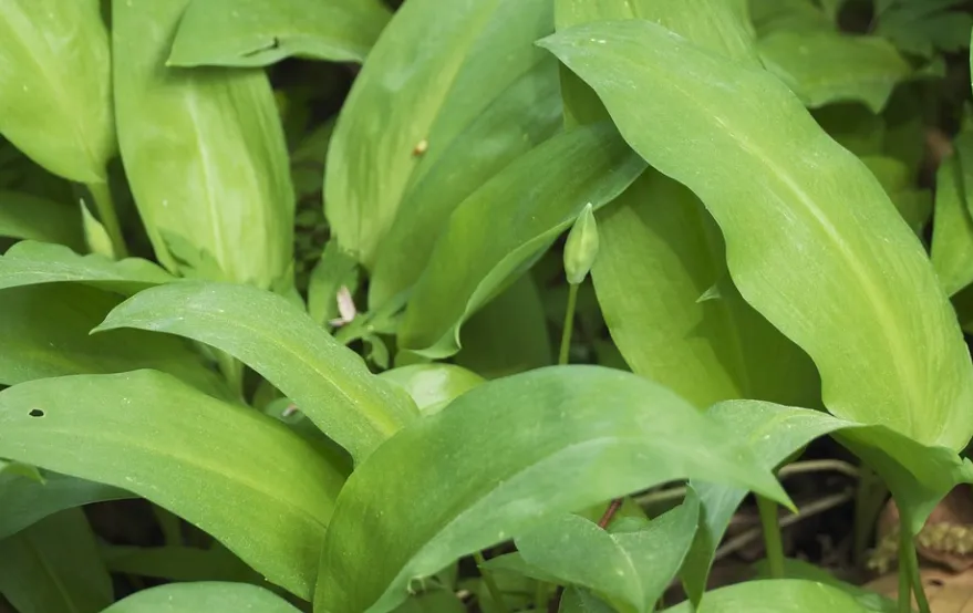 screenshot 20230424 132550