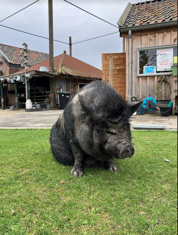 screenshot 20230727 114013