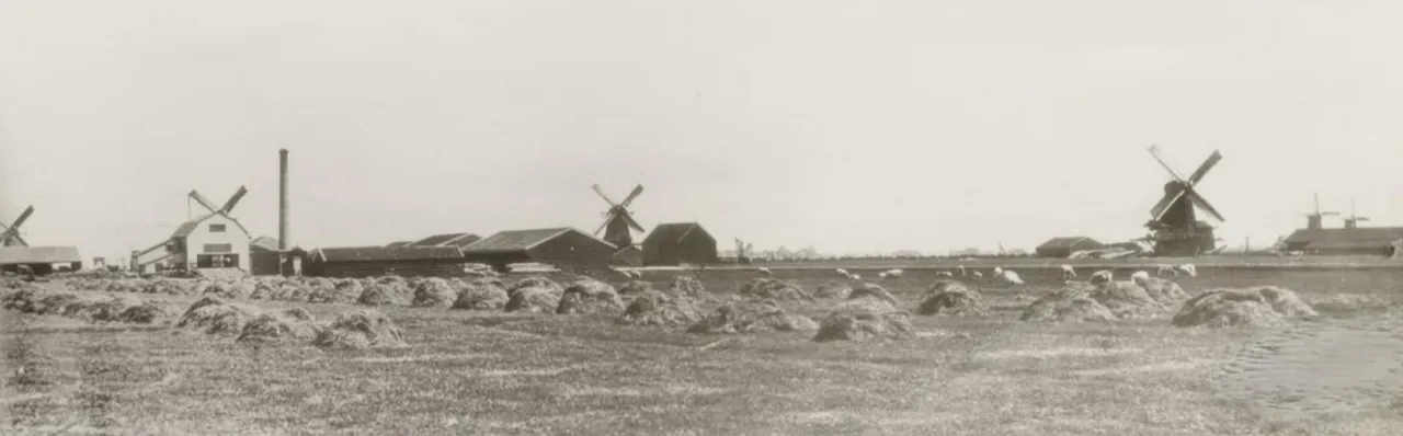 screenshot 20231101 131926