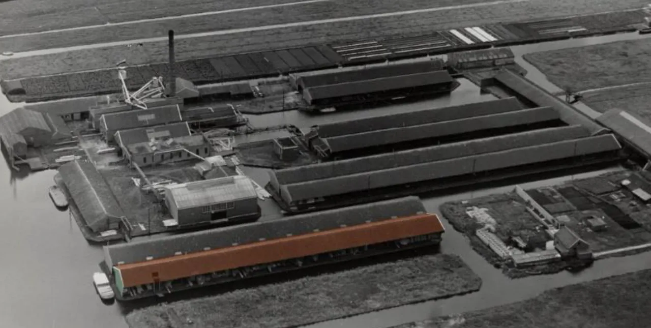 screenshot 20231101 132434