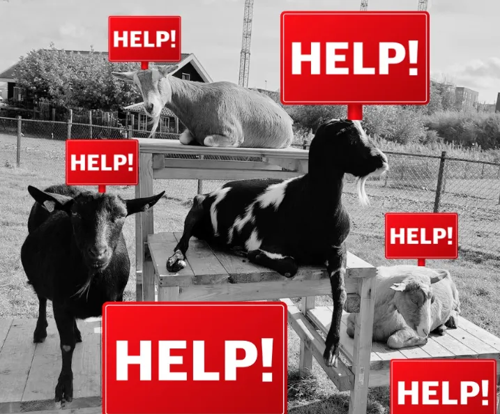 screenshot 20240109 143301