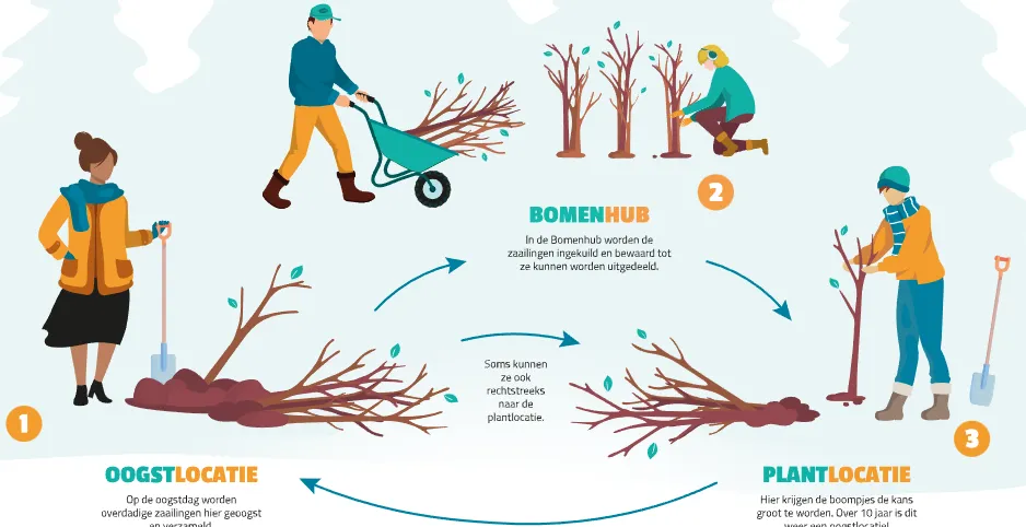 screenshot 20240227 100254