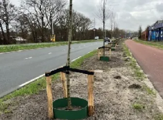 screenshot 20240229 113159