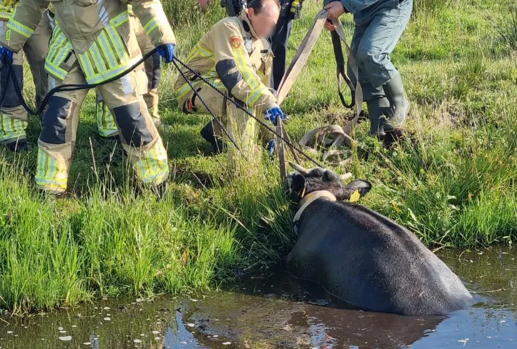 screenshot 20240614 133534