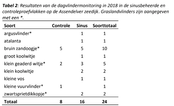 sinus 2