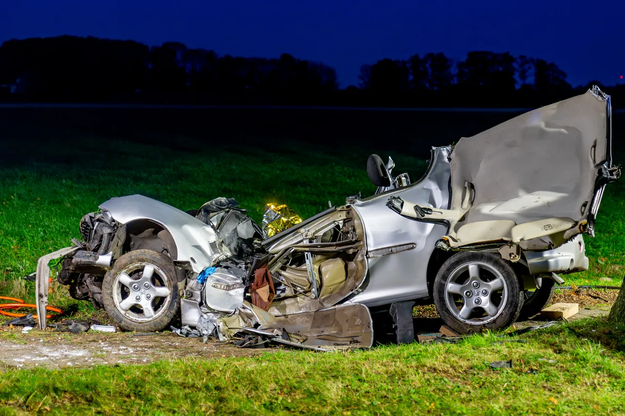 versteeg av producties 11