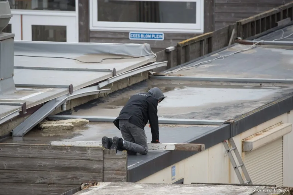 84391830 2658565750909341 56239521544536064 o 1024x683