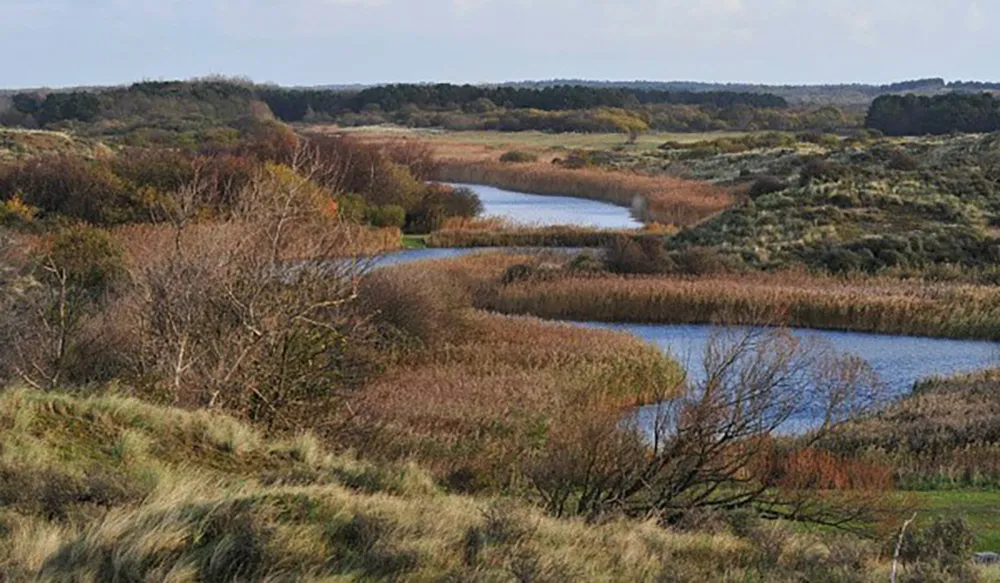 amsterdamse waterleidingduinen 600x350 1