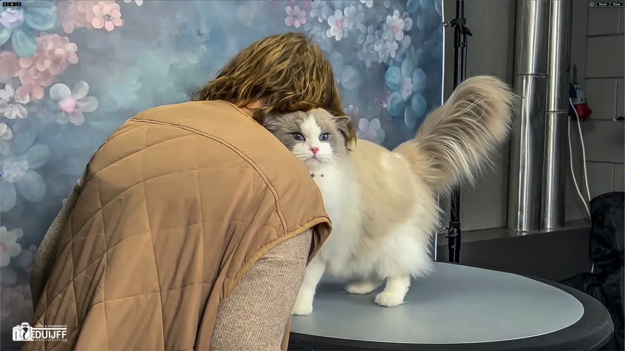 cat zeer fraai2