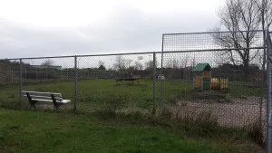 grote speelveld dierentehuis kennemerland jaap koper 300x169