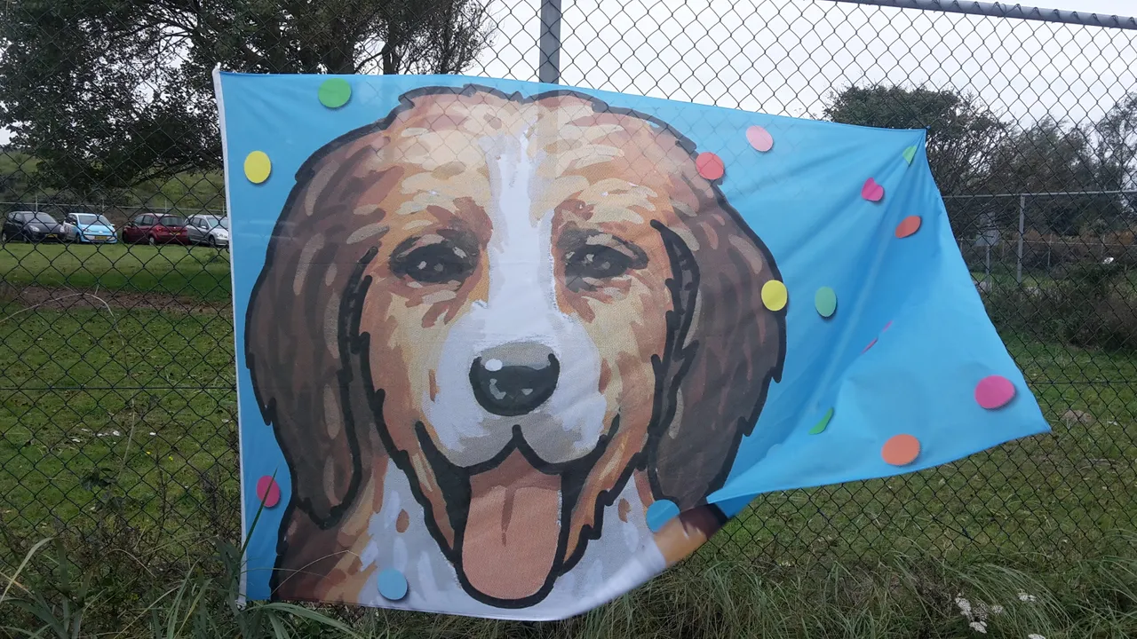 open dag dierentehuis kennemerland 2 2017 jaap koper