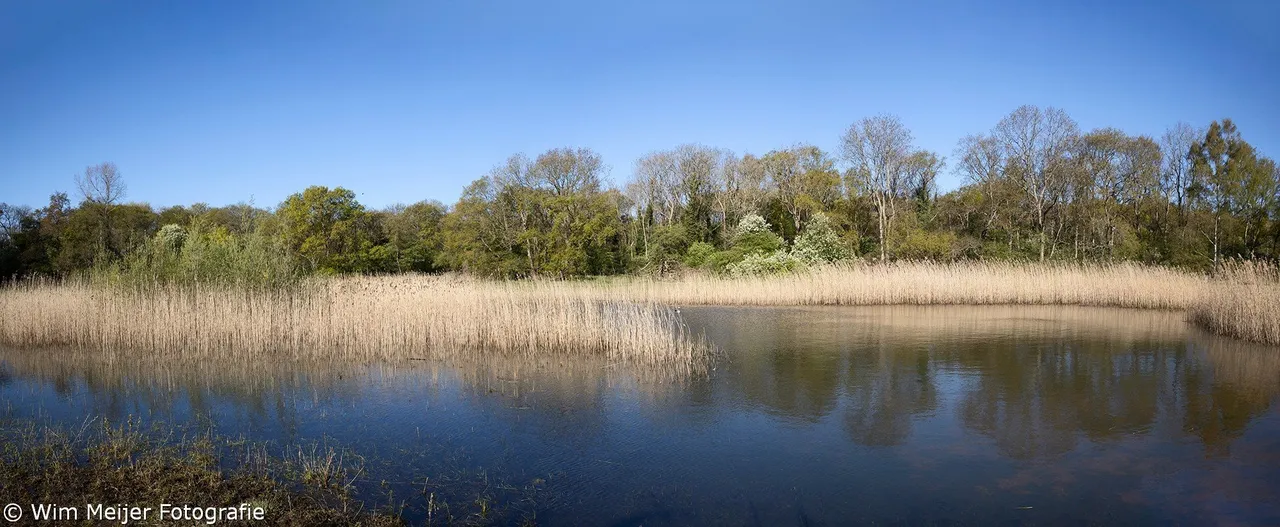 panorama vijver geversduin 1 wim meijer fotografie small