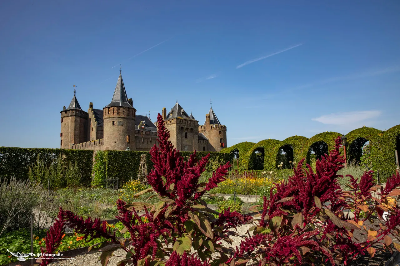 rode plant en slot