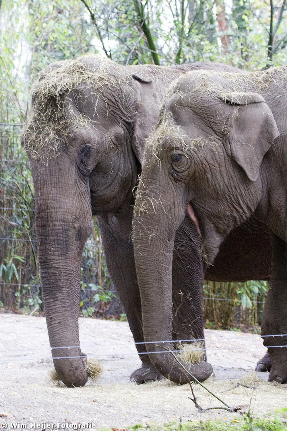 tumblr mw1nwpepga1svvyvco7 1280