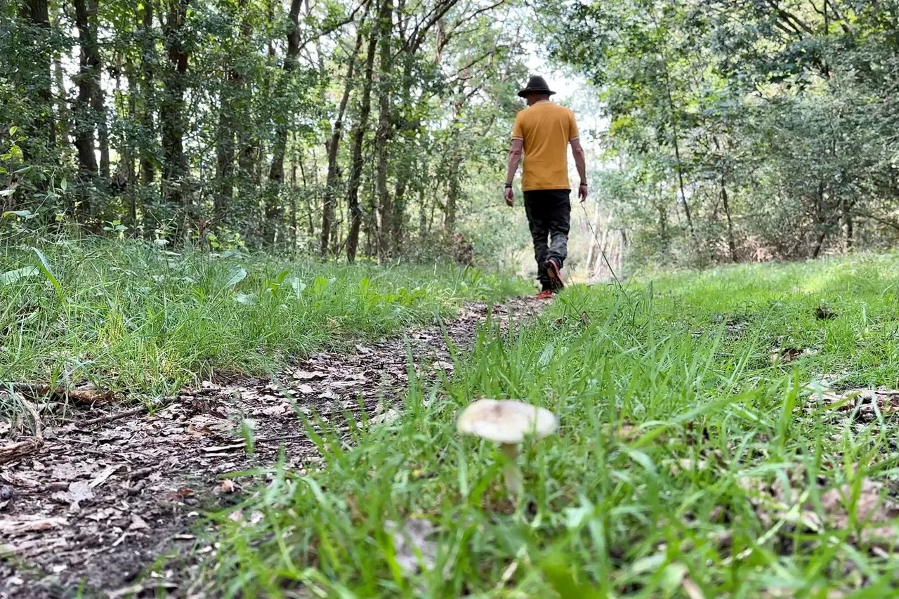 whatsapp image 2023 09 02 at 090710