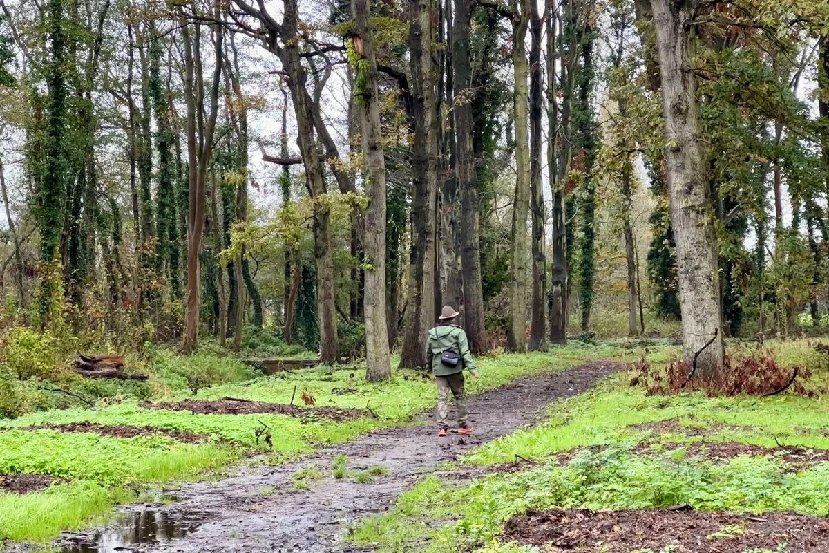 whatsapp image 2023 10 29 at 113803 1