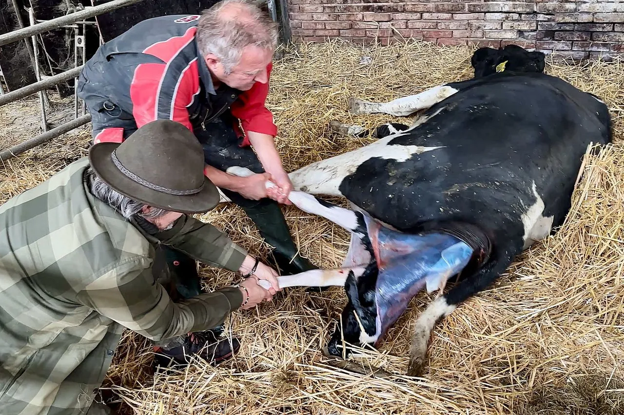 whatsapp image 2023 11 04 at 171806