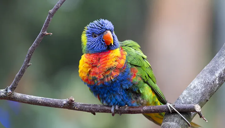 wim meijer fotografie img 4613