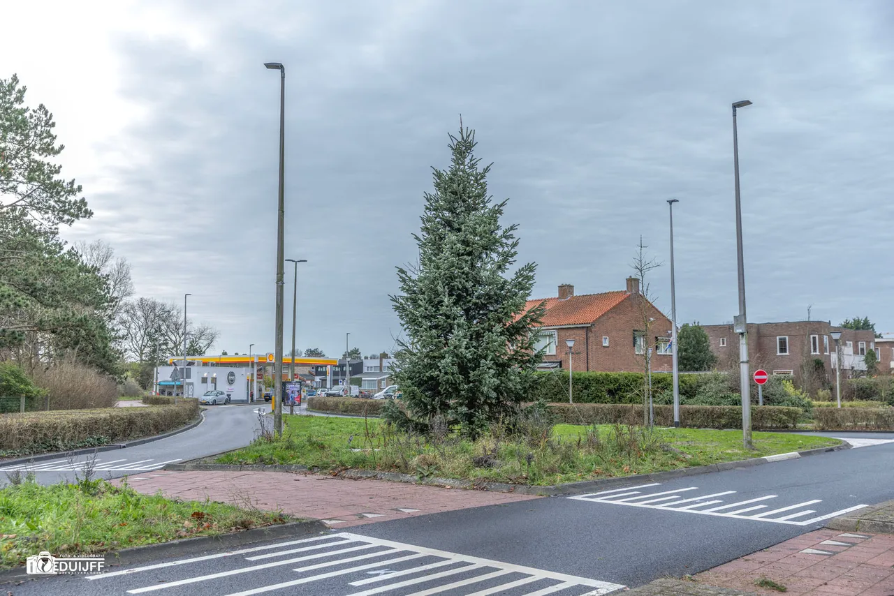 ART Kerstboom entree Zandvoort