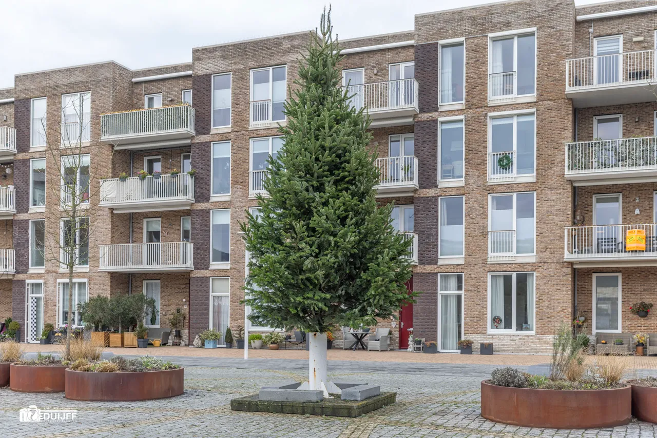 ART L davids kerstboom