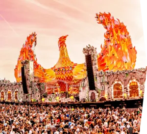 dreamfields 1 1 300x273