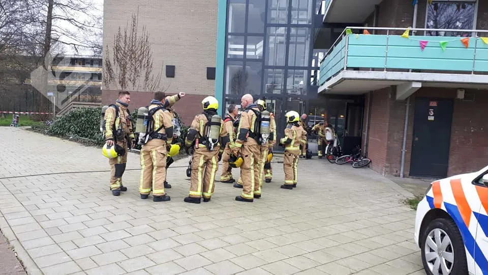 brand1