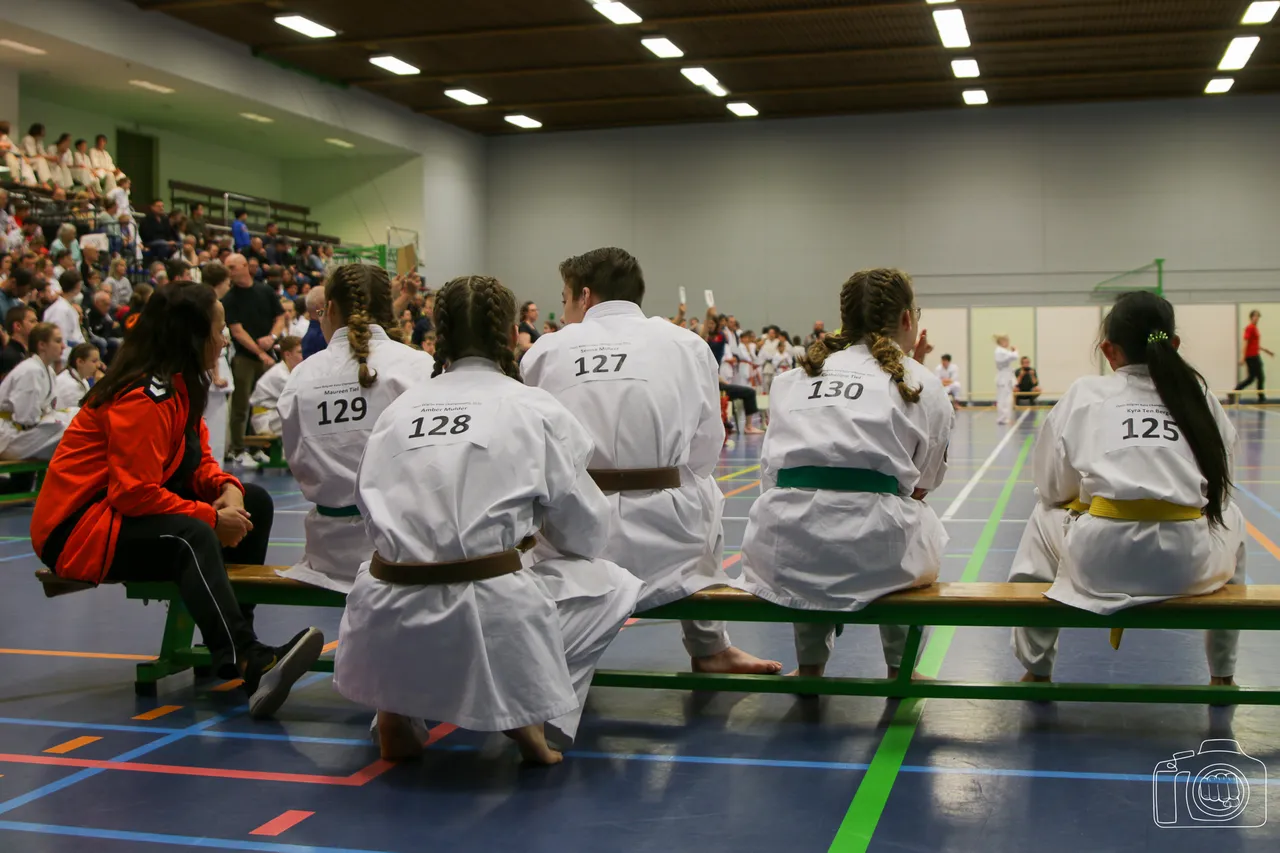 dojo