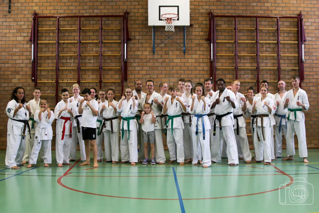 dojo
