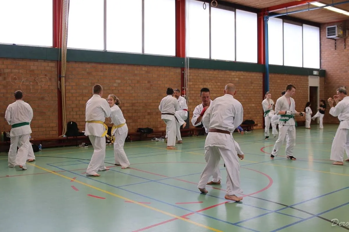 dojo2