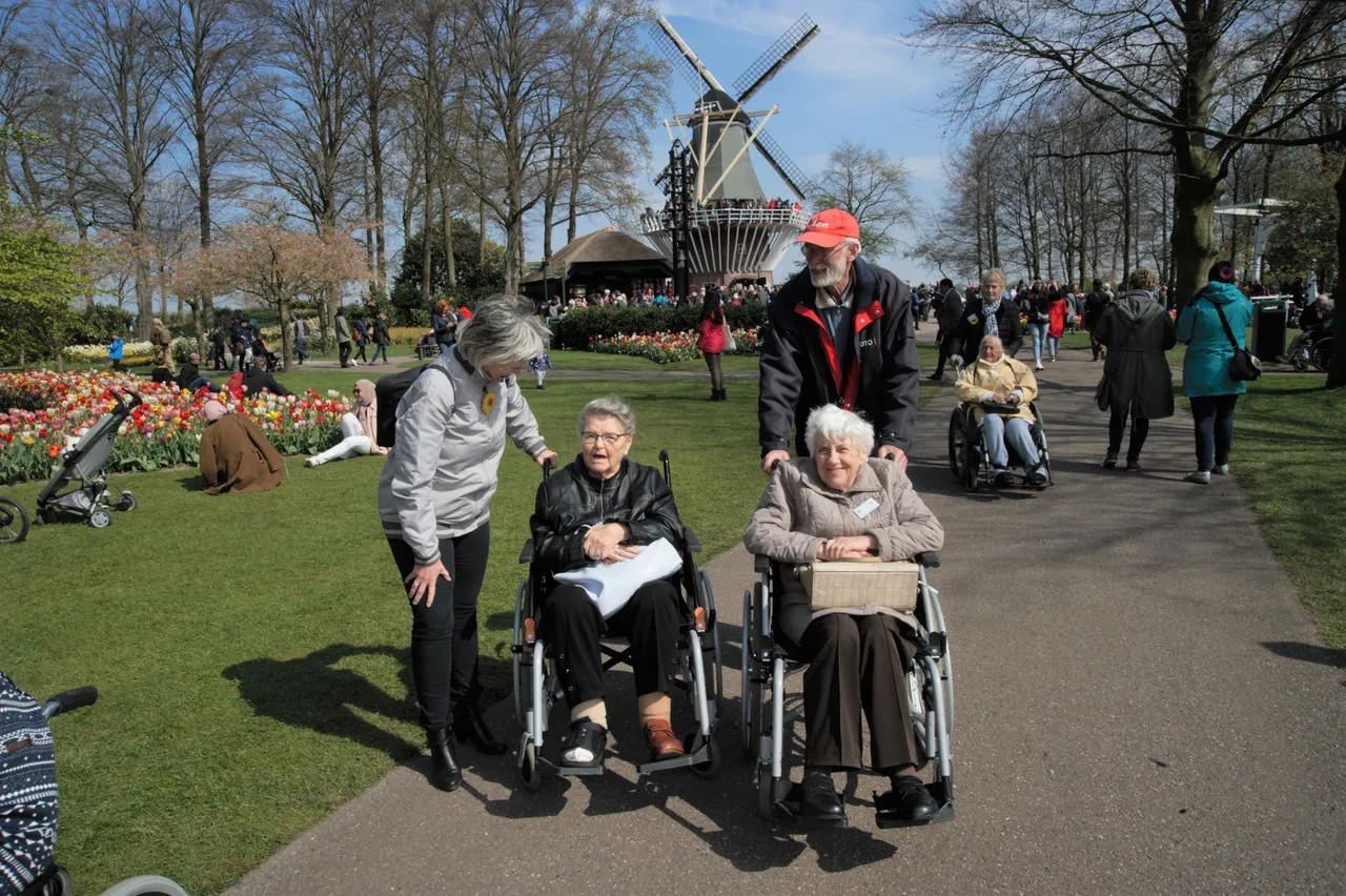 keukenhof 217801