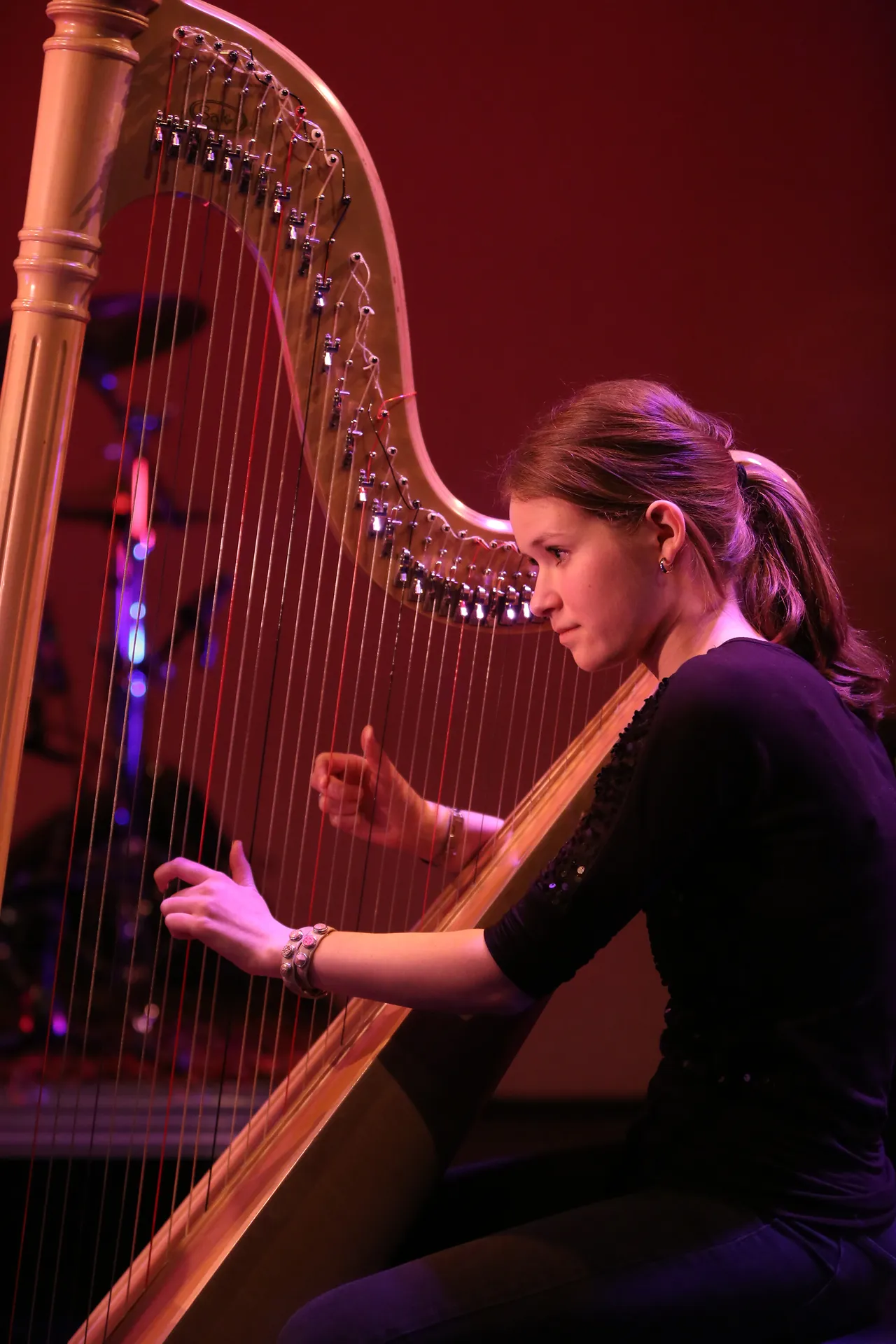 klassiek concert varend door de polder