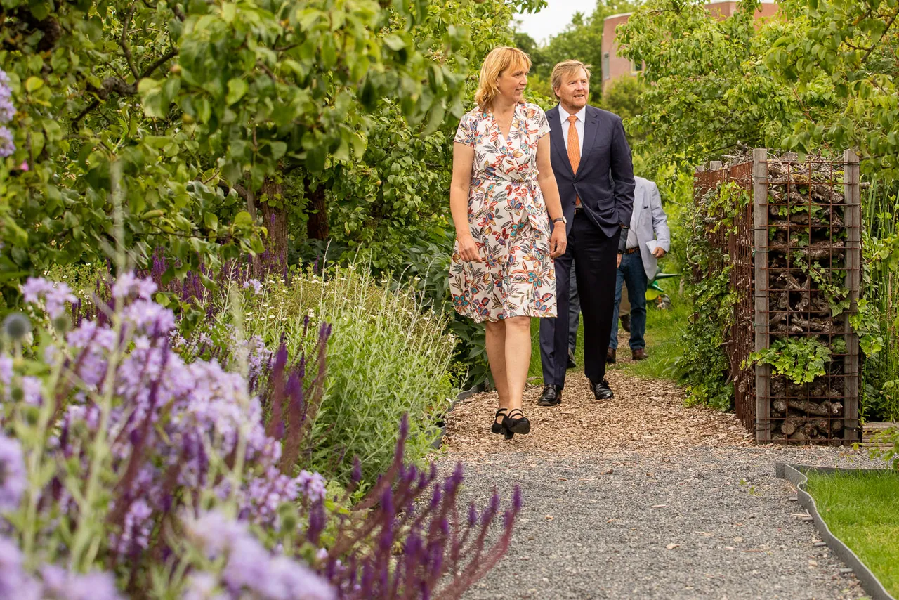koning3
