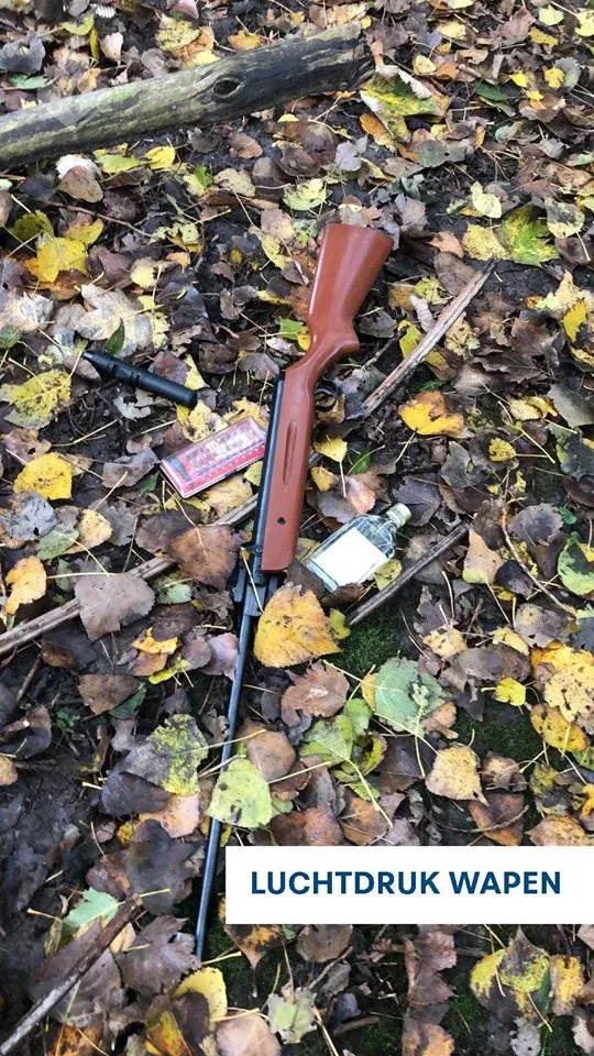 pol3