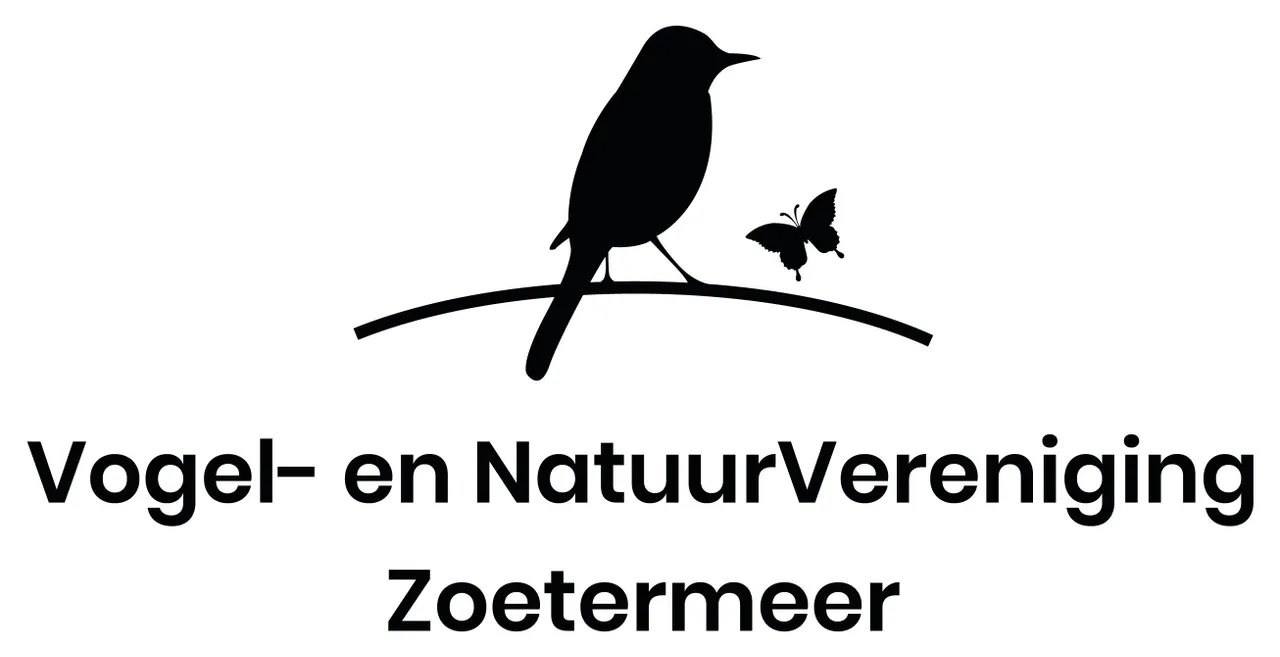 vnvz logo 01