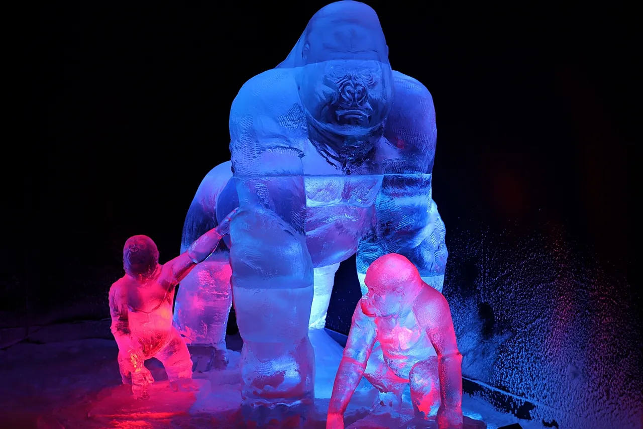 ijsbeelden festival zwolle 2022 opening 52