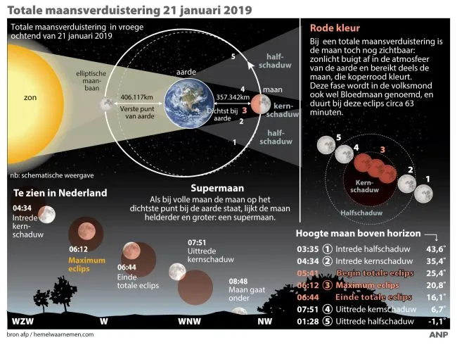 metronieuwstcdn nl field image inline mt ae3f5551c3583925e5b250bf4cc9a57d