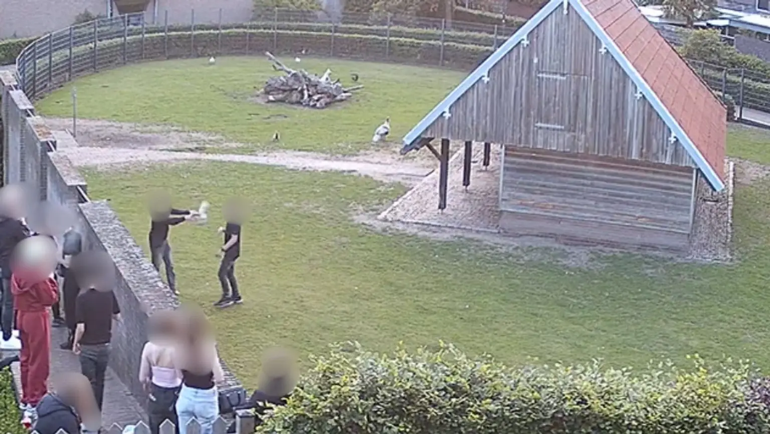 bewakingsbeelden hertenkamp mierlo