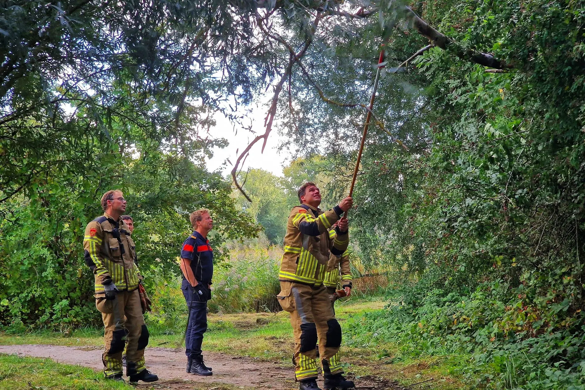brandweer voor takje zwolle scaled