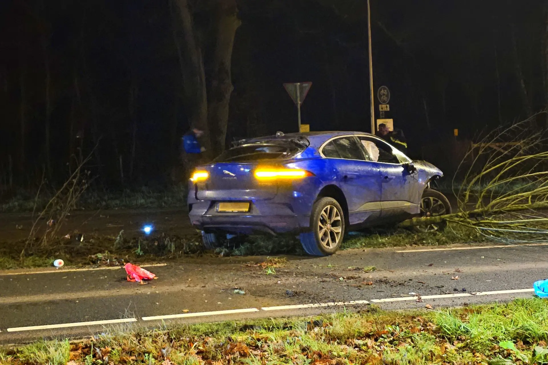 jaguar i pace tegen boom10 kopie scaled