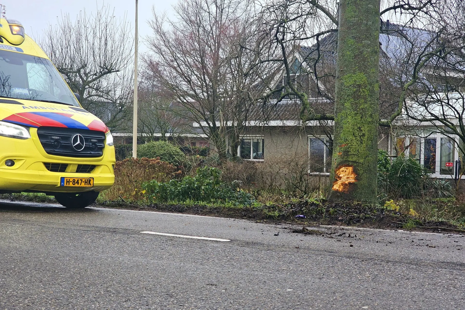 sportwagen op boom in moordrecht3 scaled