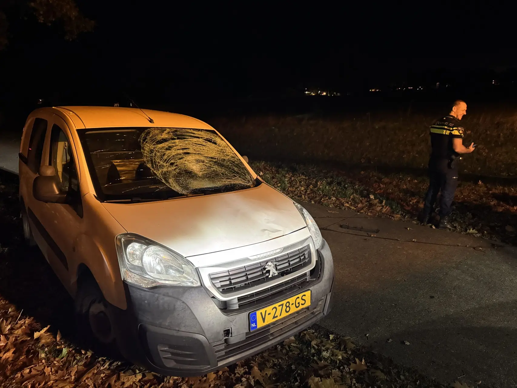 vrouw geschept tijdens hondjes uitlaten4 scaled