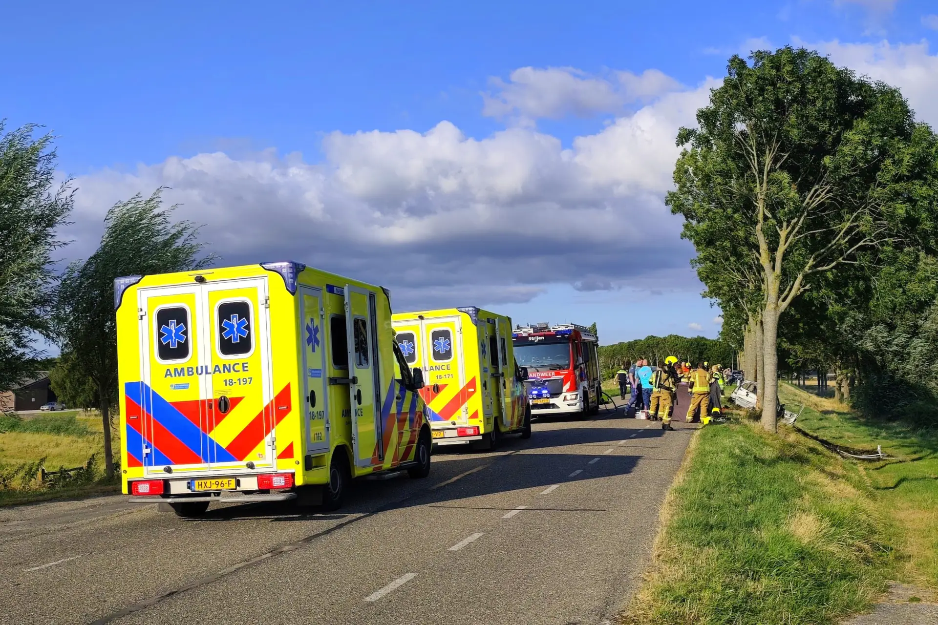 Auto tegen boom