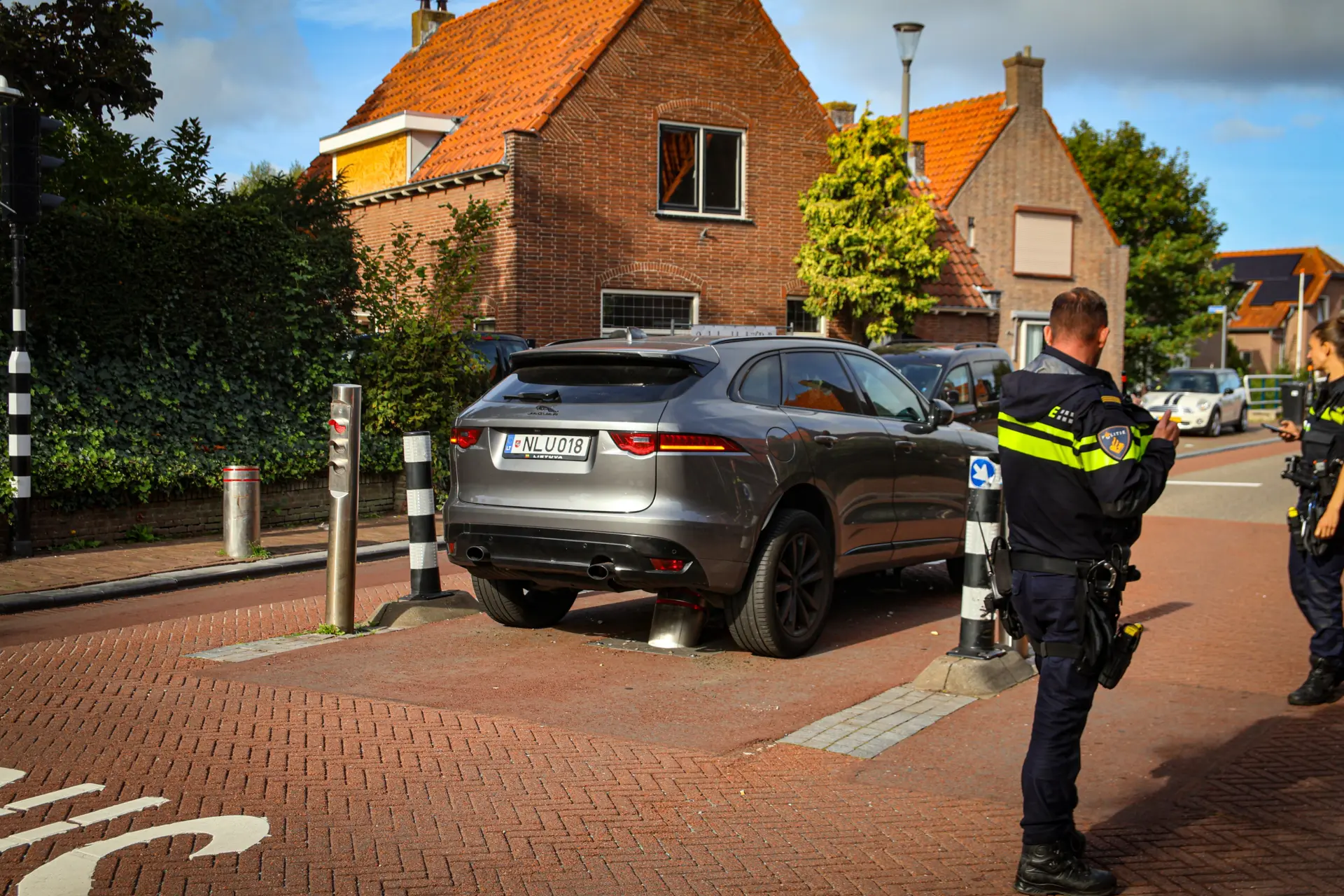 Jaguar Pollen Valkenburg1
